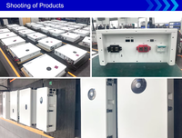 Batterie solaire de stockage d'énergie au lithium Lifepo4 Deye RW-F16 basse tension 51,2 V 314 Ah 16 kWh avec garantie de 5 ans