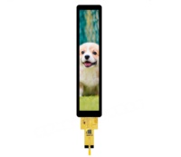 Écran LCD TFT de 2,66 pouces