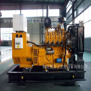 Grupo Electrógeno de Gas Saimali de 250kW, Gas Natural, Biogás, Ecológico, Fabricante Weifang - Product Image 2