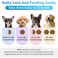 Friandises à mâcher apaisantes pour chiens avec L-Théanine et Ashwagandha, soutien cognitif et immunitaire, compléments de santé, personnalisation OEM
