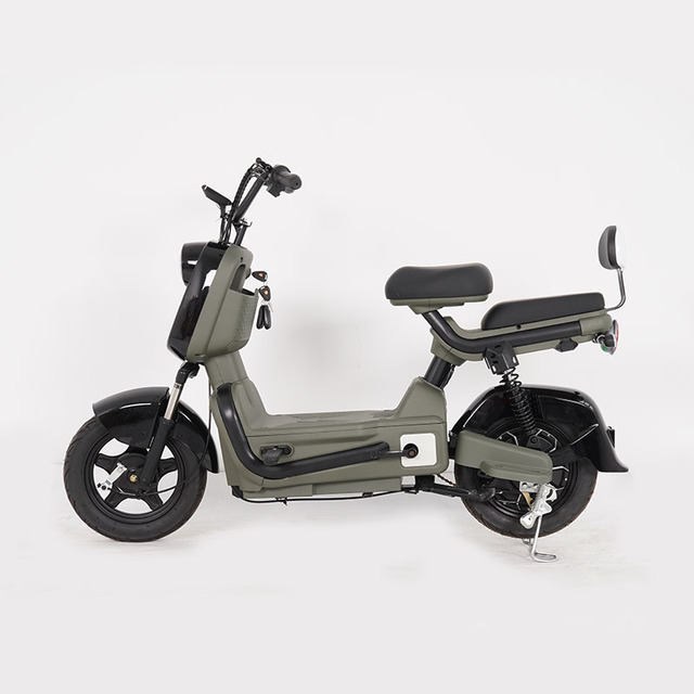 High-Speed 300W/500W Rear Hub Motor Lithium Battery Powered Electric City Bike Front Hydraulic Damping Electric Motorcycle