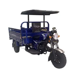 Chinese Gasoline 150cc Engine Truck 3 Wheel Trike Petrol Model Cargo Tricycle Motorcycle with Proof