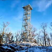 Tour d'observation à 4 pieds en acier galvanisé résistant aux intempéries de 20 m pour la patrouille de frontière et la surveillance de sécurité extérieure