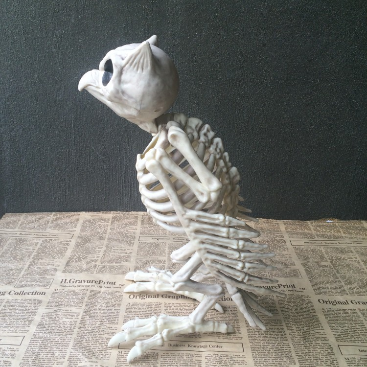 25 cm Black Halloween Skeleton Animal Prop Durable Handmade Style for ...