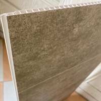 Paneles de hormigón gris para pared, línea de corte ancha de 600mm, resistente, China