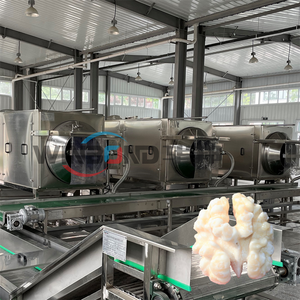 نواة جوز اللوز بجلد الفول السوداني صخري - Product Image 6