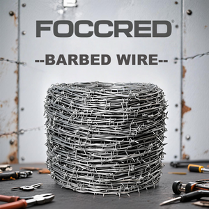 Rollo <span class=keywords><strong>de</strong></span> Alambre <span class=keywords><strong>de</strong></span> Púas Galvanizado Recubierto <span class=keywords><strong>de</strong></span> PVC <span class=keywords><strong>de</strong></span> Acero Inoxidable FOCCRED <span class=keywords><strong>de</strong></span> 500 m para Protección <span class=keywords><strong>de</strong></span> Construcción - Product Image 1