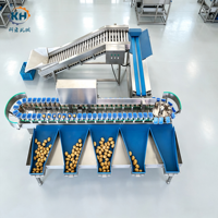 Commerciële doosvormige aardappelgewichtseparator voor landbouwverwerkingslijn met toevoerelevator, video-inspectie beschikbaar