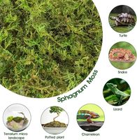 Accessoires secs et compressés naturels, tortue grimpante fraîche, tapis de mousse hydratant d'hiver, fournitures pour reptiles, mousse de sphaigne