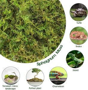 Natural Compressed Dry Accessories Cool Climbing Turtle Hibernating Winter Moisturizing <strong>Moss</strong> Mat Reptile Supplies Sphagnum <strong>Moss</strong> - Product Image 5