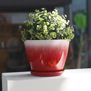 실내 및 실외 디스플레이 정원 장식 데스크탑 트리 컨테이너에 대한 <span class=keywords><strong>2025</strong></span> 내구성 다채로운 플라스틱 화분 세트 - Product Image 2