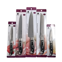 Ensemble de couteaux de cuisine en acier inoxydable de vente chaude 5 pièces couteaux d'office utilitaires de tranche de pain de chef de cuisine avec poignée en ABS