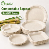 Assiette jetable en bagasse de canne à sucre Trendz pour événements de restauration et achats en gros pour services alimentaires