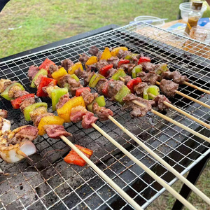 Barbecue Grill Rack Wire Mesh Square Grid 40x25cm 45x30cm Outdoor Cooking Grate Multifunctional Portable Heat Resistant - Product Image 1