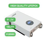 Batería LiFePO4 de Alta Calidad de 51.2V 100Ah 5.12kWh, 6000+ Ciclos, Montaje en Pared, Almacenamiento de Energía Solar para Respaldo de Energía en Hogares y Comercios