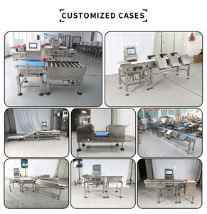 Báscula clasificadora de peso de 3 niveles, cinta transportadora de alimentos de alta velocidad para línea de envasado, acero inoxidable 304, alta precisión - Product Image 4