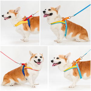 ネオプレン + ナイロン犬用ハーネスリーシュ付きカスタムパーソナライズカラー & ロゴ卸売工場価格 - Product Image 3