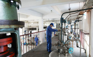 Proteaz 5000u/G-400000u/G toz granül yem sınıfı hayvancılık ve kanatlı genel asit/nötr/alkali proteaz - Product Image 6