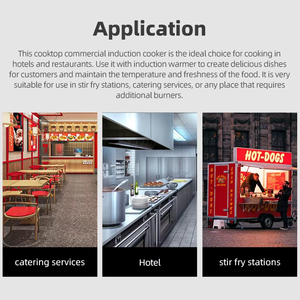 Calentador de Inducción Comercial de 1000W con Marco de Aluminio para Cocina, Restaurantes y Buffets AM-BCD106, Calentador de Inducción Comercial AM-BC - Product Image 6
