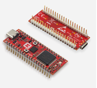 Kit de carte microcontrôleur haute performance Makerdiary IMX RT1011 Nano avec processeur Arm Cortex M7 500 MHz et fonctionnalités riches