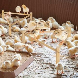 Hábitat de entrenamiento de marco de madera grande para pollos, gallinas, raíces fuertes, gallinero, cuidador, 2 juguetes de pollo, accesorios para loros - Product Image 6