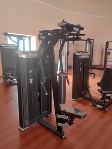 <span class=keywords><strong>Pecfly</strong></span>/Rear Delt – Appareil de musculation réglable à charges individuelles pour la poitrine et les bras – Équipement de fitness professionnel en métal - Product Image 2