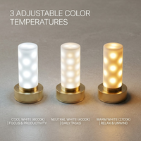 Lampe de table LED vintage de luxe portable sans fil rechargeable avec télécommande et abat-jour rétro pour mariage