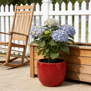 Ensemble de pots à fleurs en céramique de style américain, design en forme d'œuf rouge brillant, finition émaillée, trou de drainage, respectueux de l'environnement - Product Image 6