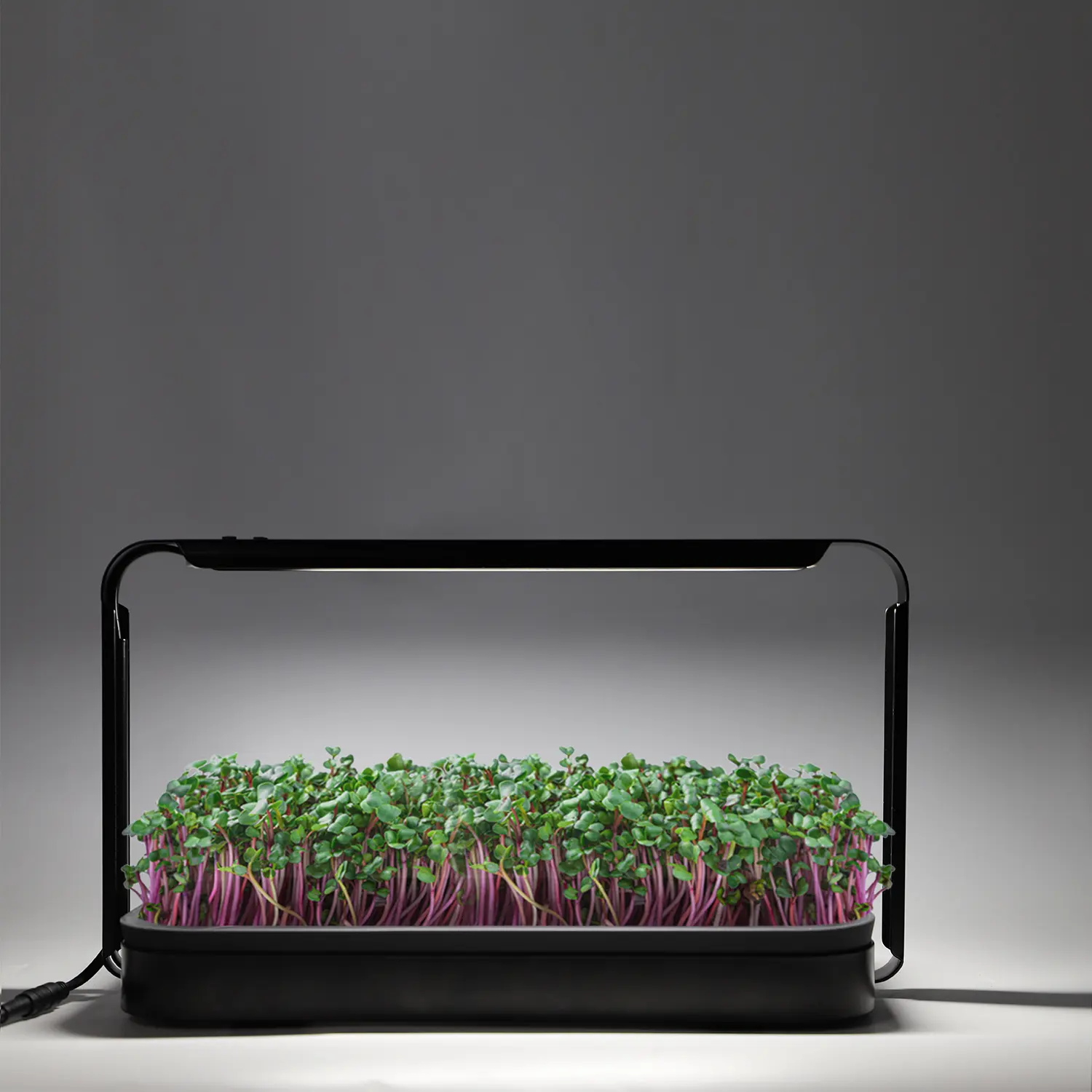 Smart Hydroponic Microgreens Trays Indoor Propagation Garden Germination Kit Kitchen Desk Led Light Growing System For Home Use