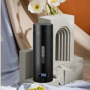 <span class=keywords><strong>Bollitore</strong></span> Elettrico Portatile Kingze Nuovi Arrivi da 500ml Personalizzato per Tè e Caffè con 4 Controlli di Temperatura - Product Image 2