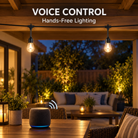 Guirlandes lumineuses extérieures intelligentes RGBW de qualité commerciale 10M 15M, étanches IP65, ampoules E27 S14, application Tuya WiFi, synchronisation musicale, commande vocale