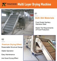 China Fabriek Multi-Layer Mesh Belt Droogmachine Heteluchtcirculatie Transportband Tunnel Droger voor Fruit en Groente Droogproces