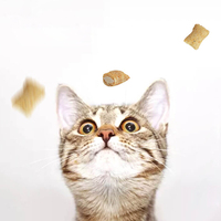 Fabricant OEM ODM de friandises pour animaux riches en protéines : Bâtonnets molaires jaunes croustillants pour chats, favorisant la digestibilité, la propreté dentaire et la santé de la peau et du pelage.