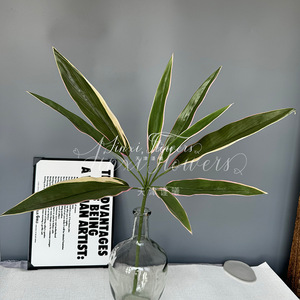 Plante artificielle Cordyline Fruticosa Jinxi 80cm, bord rose, caoutchouc souple, décoration intérieure pour mariage et maison - Product Image 4