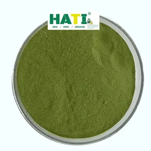 Supply Plant Extract Organic Wheat Grass Juice Powder Grass Wheat Powder Wheat Grass Powder