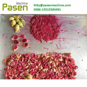 Separador de semillas de una fruta, máquina extractora de cactus rickly PEAR - Product Image 4