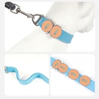Collier de chien réglable avec boucle en métal à dégagement rapide, collier tactique léger pour toutes les races, pour l'entraînement, la marche et la course