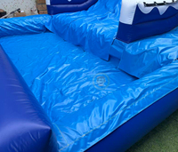 Toboggan gonflable Requin Stitch avec souffleur pour enfants à vendre