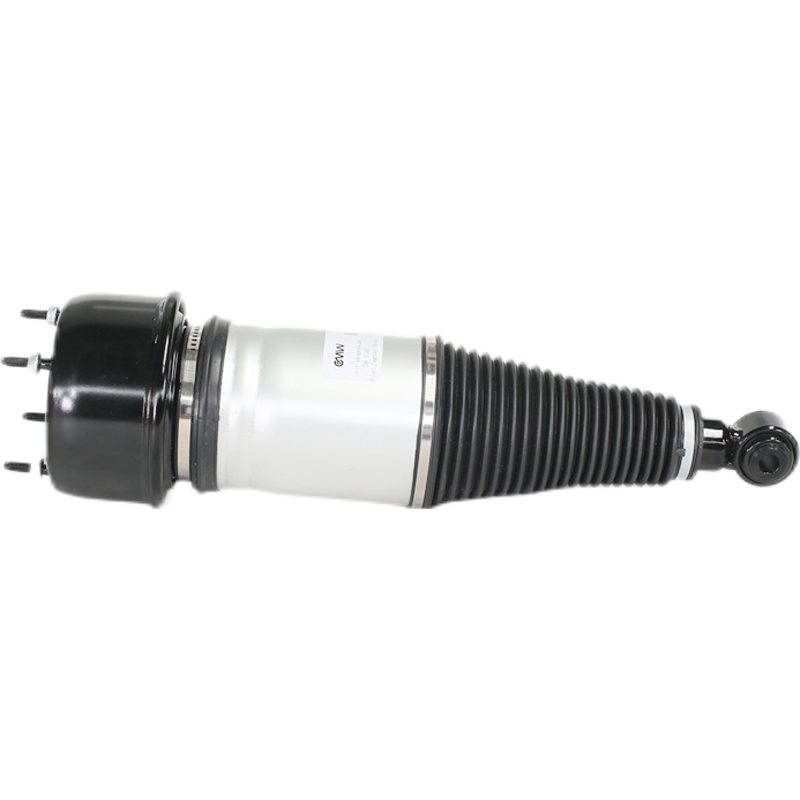 C2C41341 C2C41340 Rear Air Suspension Air