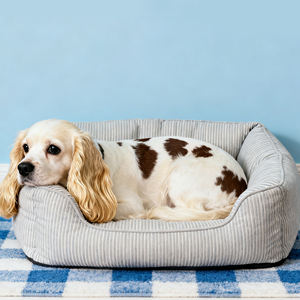 C4P sofá de lujo personalizable cómodo para perros cama para mascotas sofá cama extraíble lavable para perros perrera con materiales de alta calidad - Product Image 2