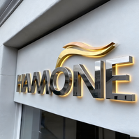 Enseigne électronique personnalisée enseigne extérieure de magasin enseigne murale lumineuse en acrylique enseigne avec logo rétro-éclairé 3d led lettre