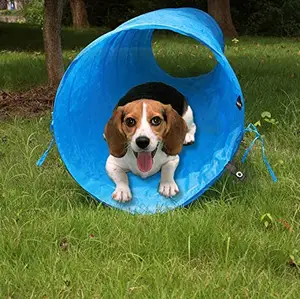 OEM/ODM Pet Cat Dog Tunnel Agility Equipment Set Dia 60cm 24" Pet Supplies Outdoor Sports training toys