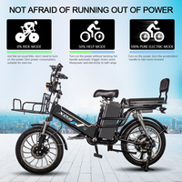 Bicicleta Eléctrica de Carga con Frenos de Disco Hidráulicos, 48V 62Ah, Batería Doble de Litio, para Adultos, Entrega de Comida