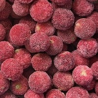 Premium Gezonde IQF Diepvries Rode Bayberry Schijfjes 100% Natuurlijk In Bulk Verpakt met Water