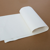 Vente directe d'usine - Papier pour traceur CAD imperméable pour l'industrie du vêtement