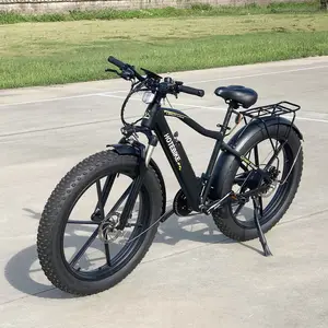 E kir bisiklet çift motorlu ebike 26 "3000W 55 km/h 21speed elektrikli kalın tekerlek bisiklet e bisiklet 48V 500W 750W aralığı fabrika shuangye