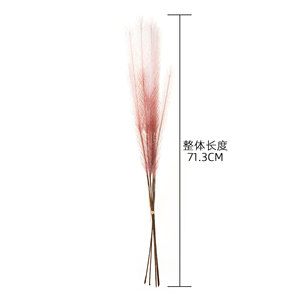 ดอกแพมพัสประดิษฐ์ CallaFloral ก้านเดี่ยว สีขาวนมอมชมพูอมม่วง สำหรับตกแต่งงานแต่งงาน ตกแต่งบ้าน ดอกไม้แห้ง สไตล์อินส์ - Product Image 4