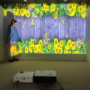 Système de projection interactive pour piste de danse DefiLabs <span class=keywords><strong>Dj</strong></span> Light, 150 effets, meilleur prix, compatibilité Windows/Android OS, magasin pour enfants - Product Image 4