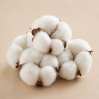 Couette brodée d'hiver 100% coton duvet écologique douce pour la peau, ensemble de literie pour lit double