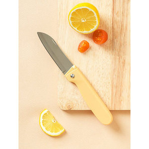 Coltello da cucina pieghevole per frutta di circa 21 cm di lunghezza - Product Image 1